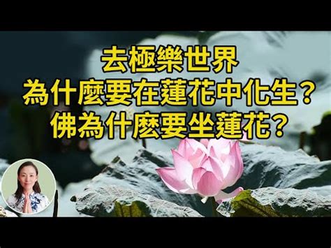 蓮花 意思